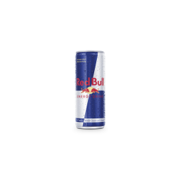 Red Bull 0,25l Dose Einweg